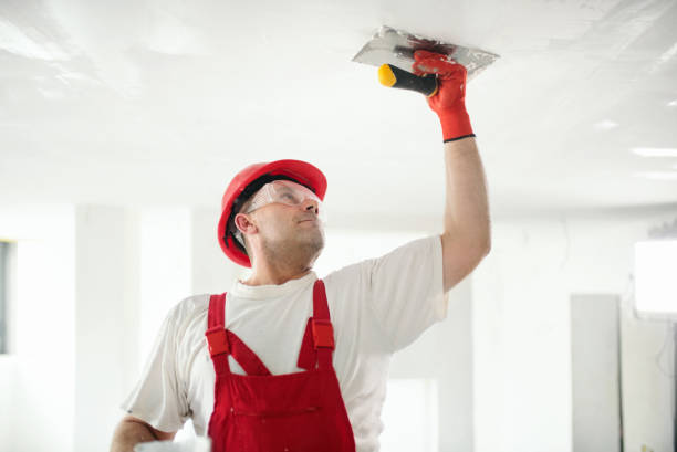 Trusted Boulevard Park, WA Dry wall and painting Experts